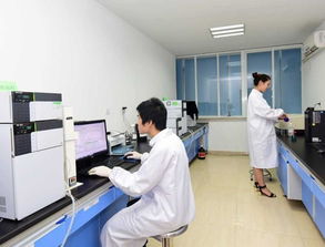 旬陽(yáng)初 高中生學(xué)子及家長(zhǎng)注意啦 西北地區(qū)全日制消防工程專業(yè),超高薪就業(yè)特招開(kāi)始啦